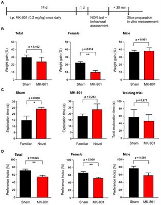 Sex-specific effects of subchronic NMDA receptor antagonist MK-801 treatment on hippocampal gamma oscillations
